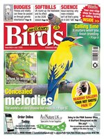 Cage & Aviary Birds